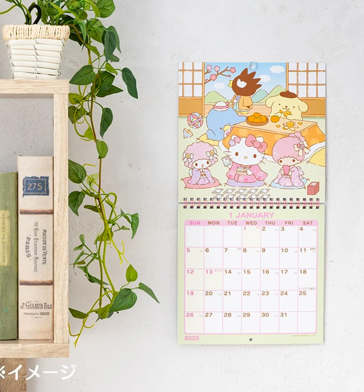 2025 Sanrio Characters Wall Calendar [M]