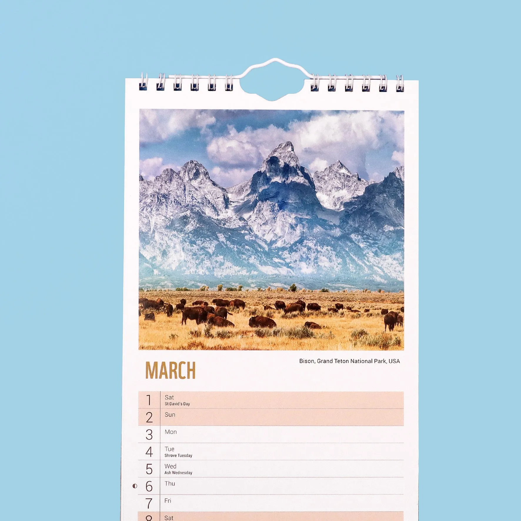 Beautiful World Slim Calendar 2025