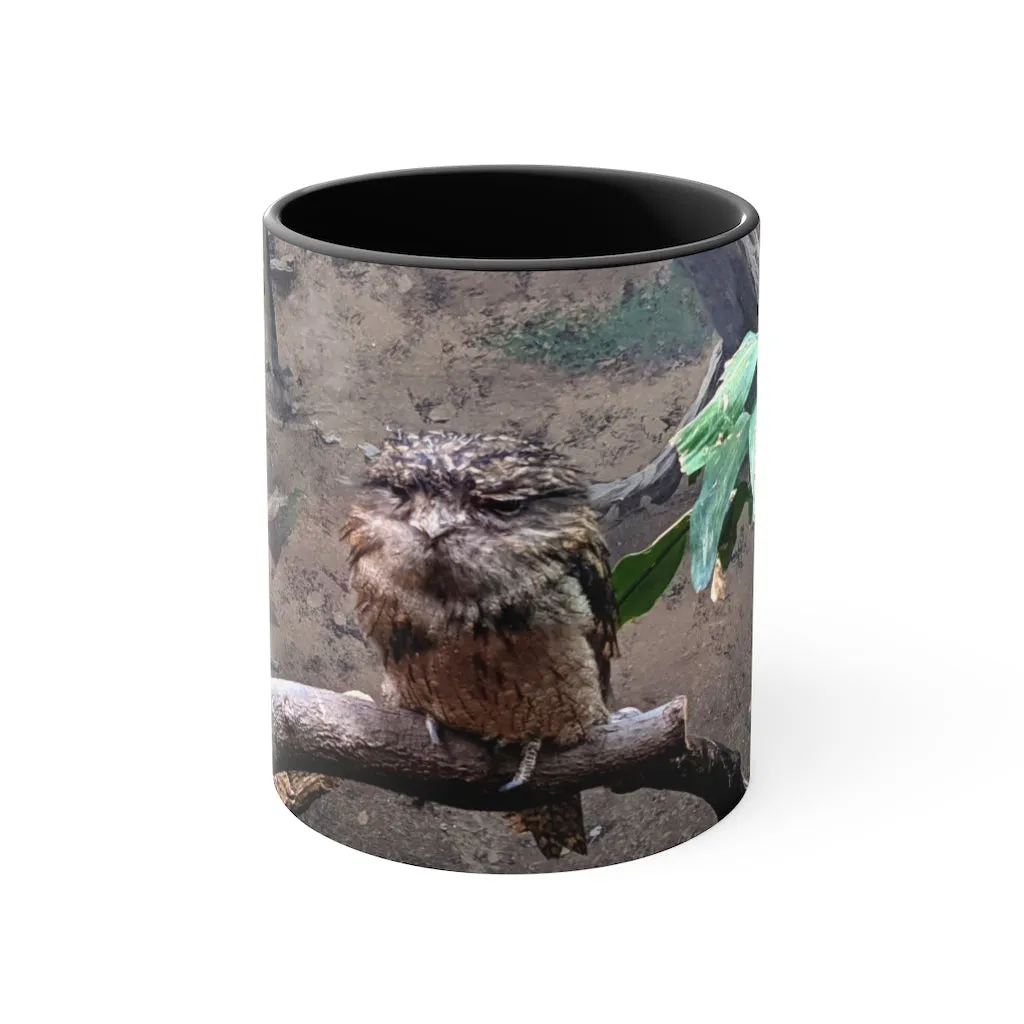 Bird Owl Accent Mug