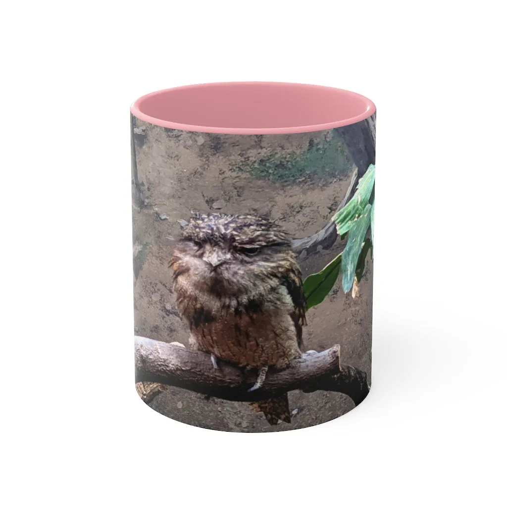 Bird Owl Accent Mug