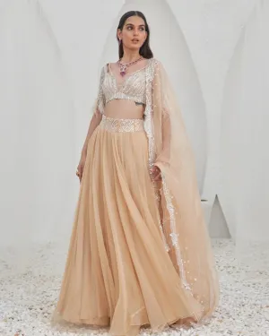 Dama Lehenga Set