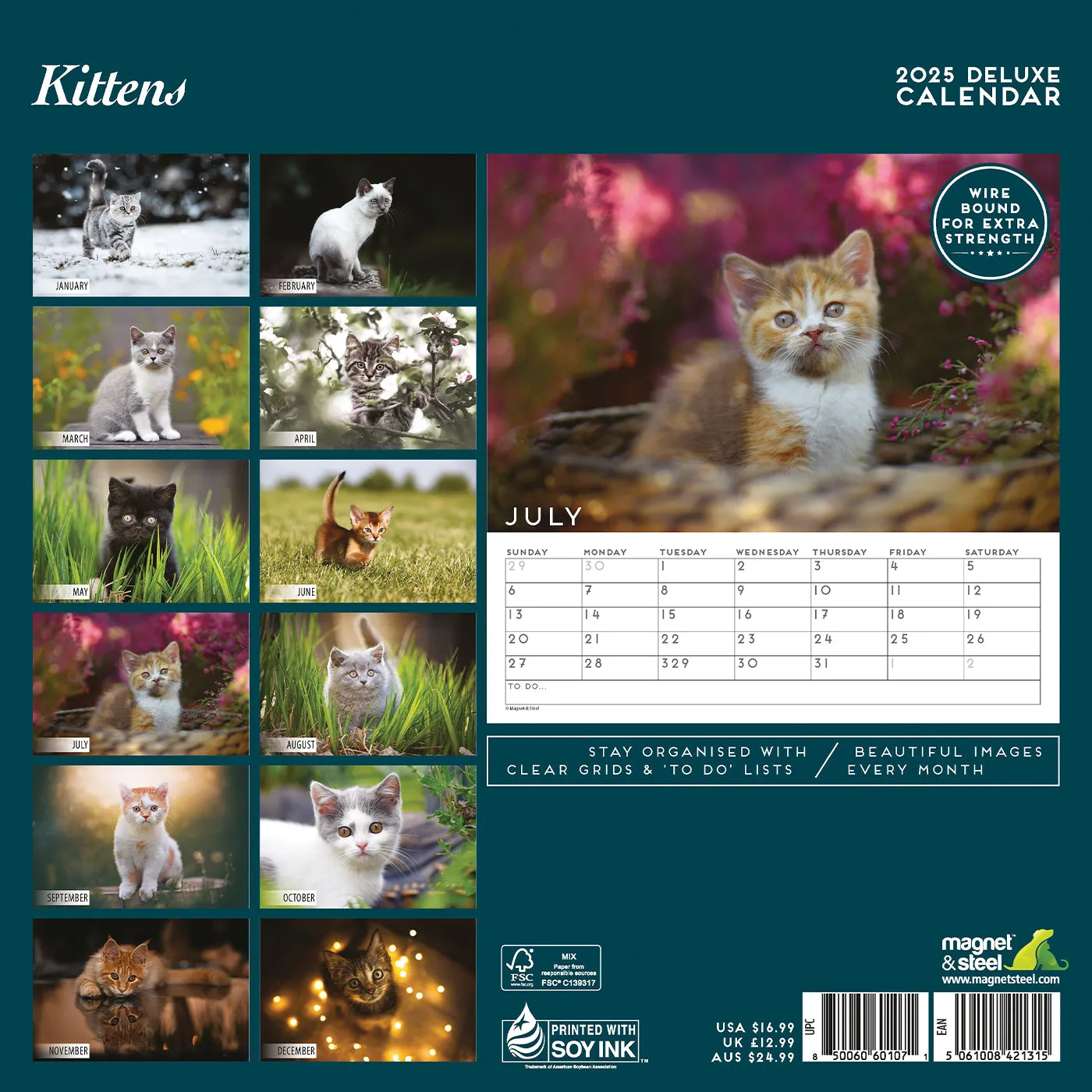 Kitten Deluxe Calendar 2025