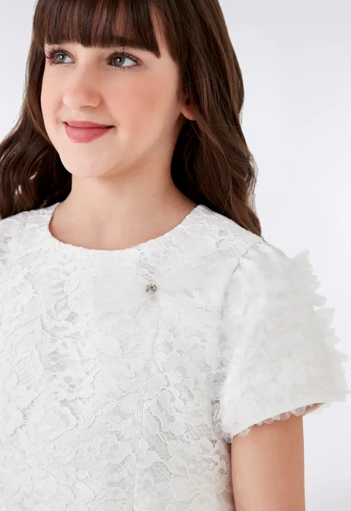 Lace Mesh Ruffle Sleeve Dress