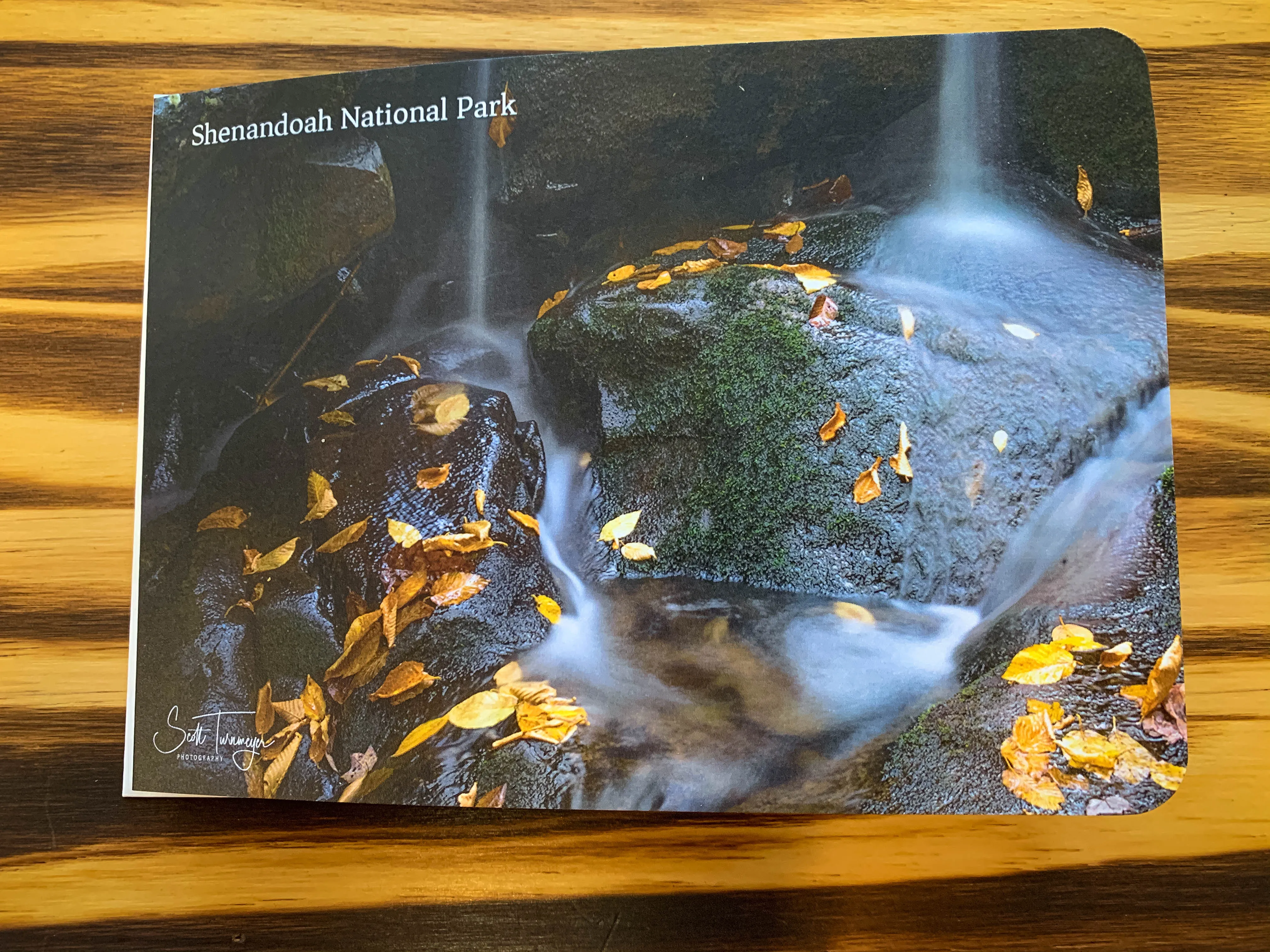 Shenandoah National Park Greeting Card